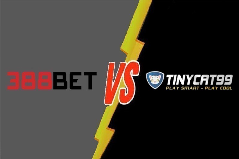 Raybet cung cấp các trò chơi điện tử arcade - Raybet