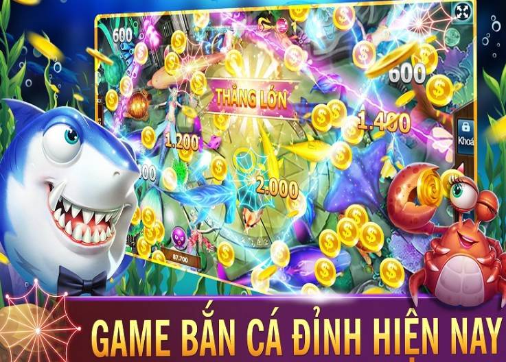 Hướng dẫn đăng ký tham gia cuộc thi đá gà cấp Raybet - Raybet